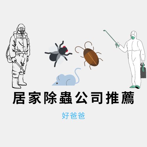 居家除蟲公司推薦—專業除蟲達人「好爸爸」守護您的居家環境